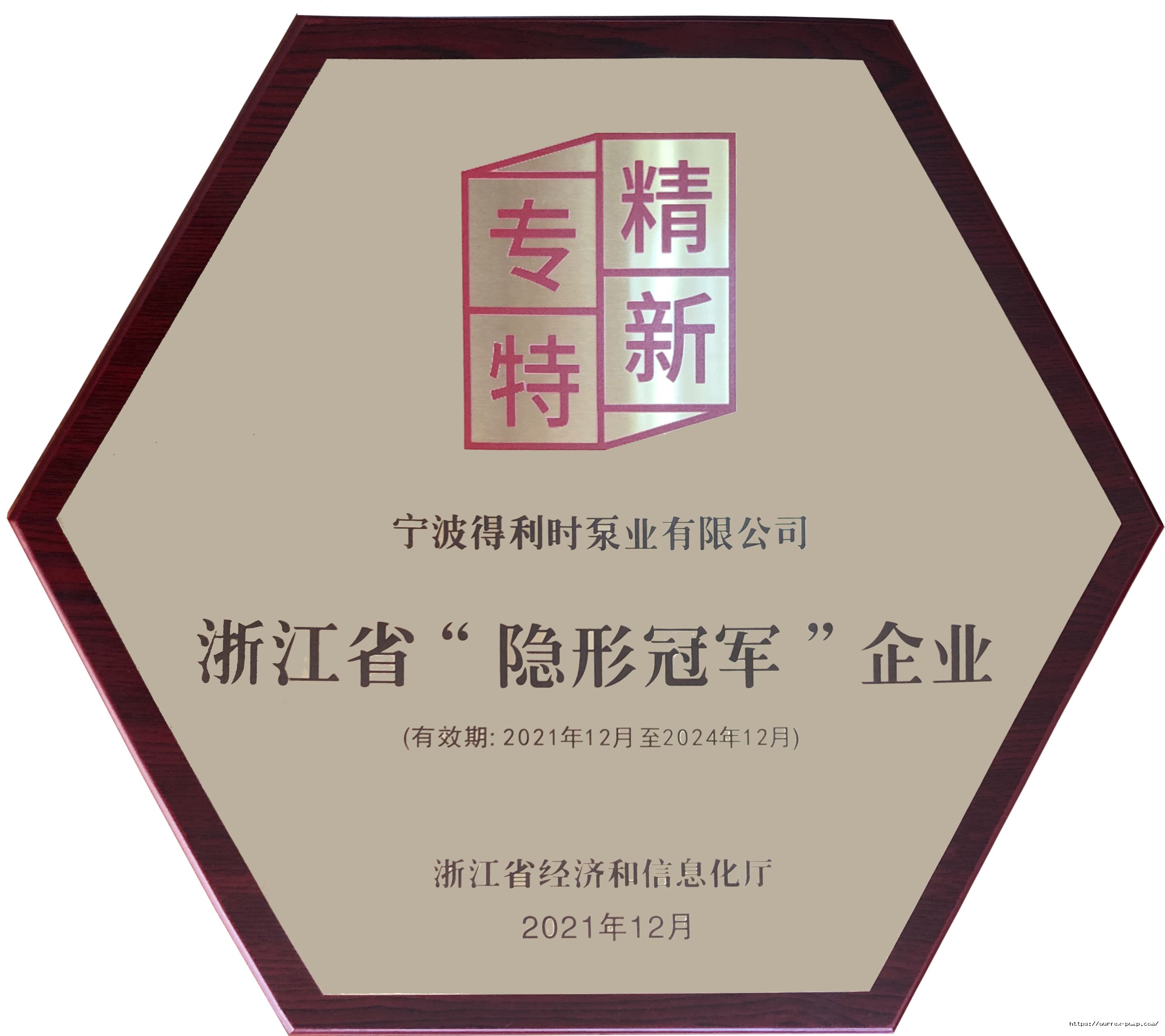 浙江省隱形冠軍牌匾無底精修.jpg